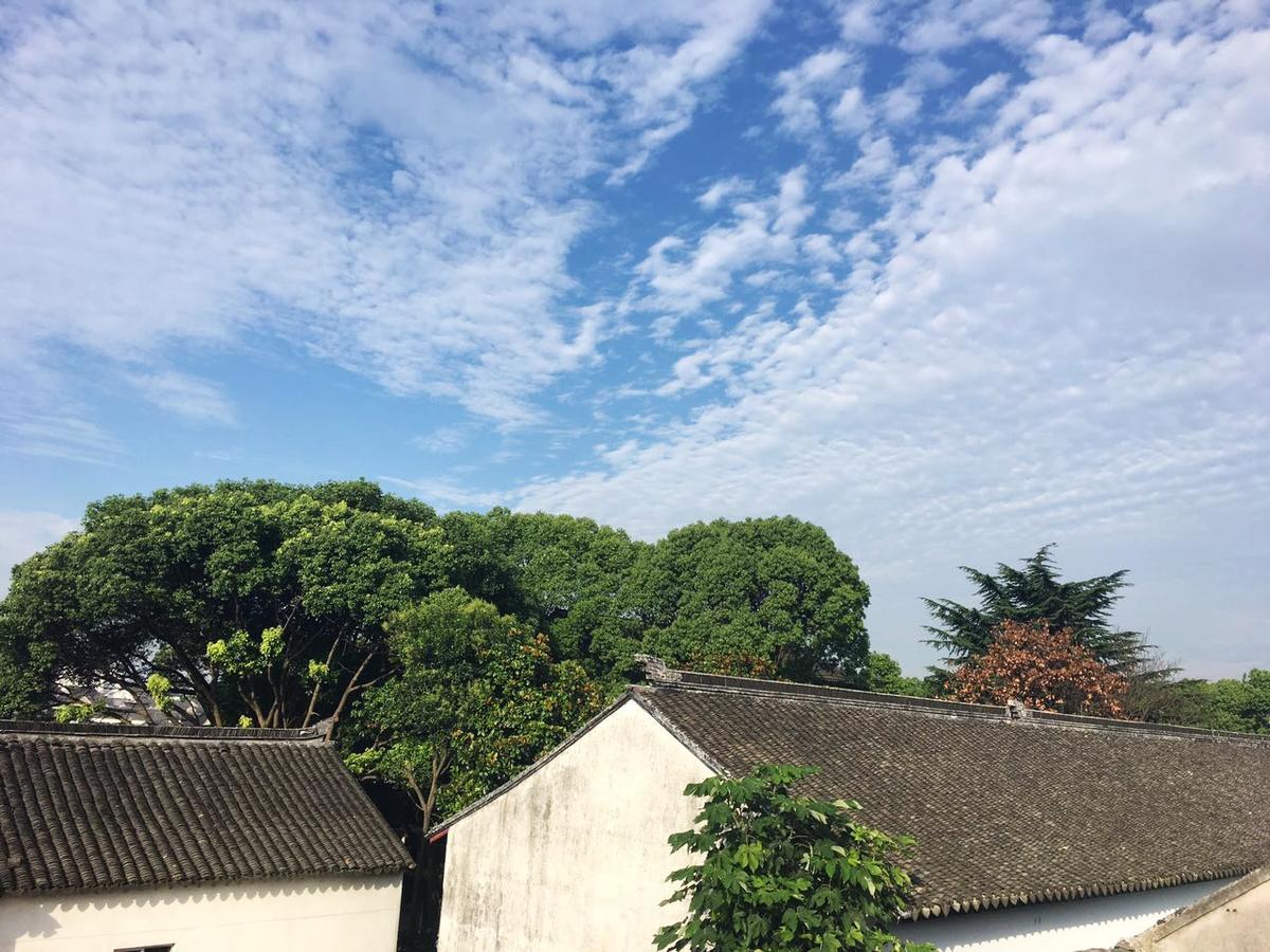 Begonia Flowers Guesthouse Tô Châu Ngoại thất bức ảnh